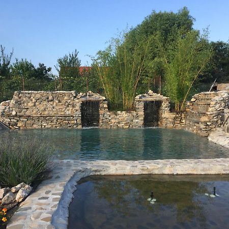 Country Spa Retreat Snagov Exteriér fotografie The Roman bath
