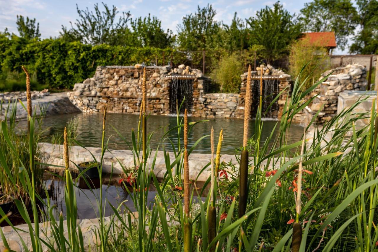 Country Spa Retreat Snagov Exteriér fotografie The River at the Living Prairie