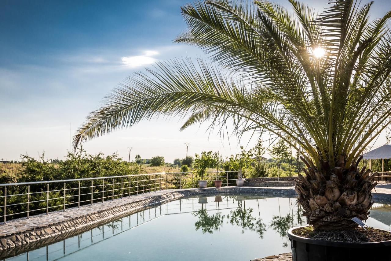 Country Spa Retreat Snagov Exteriér fotografie The pool at the hotel