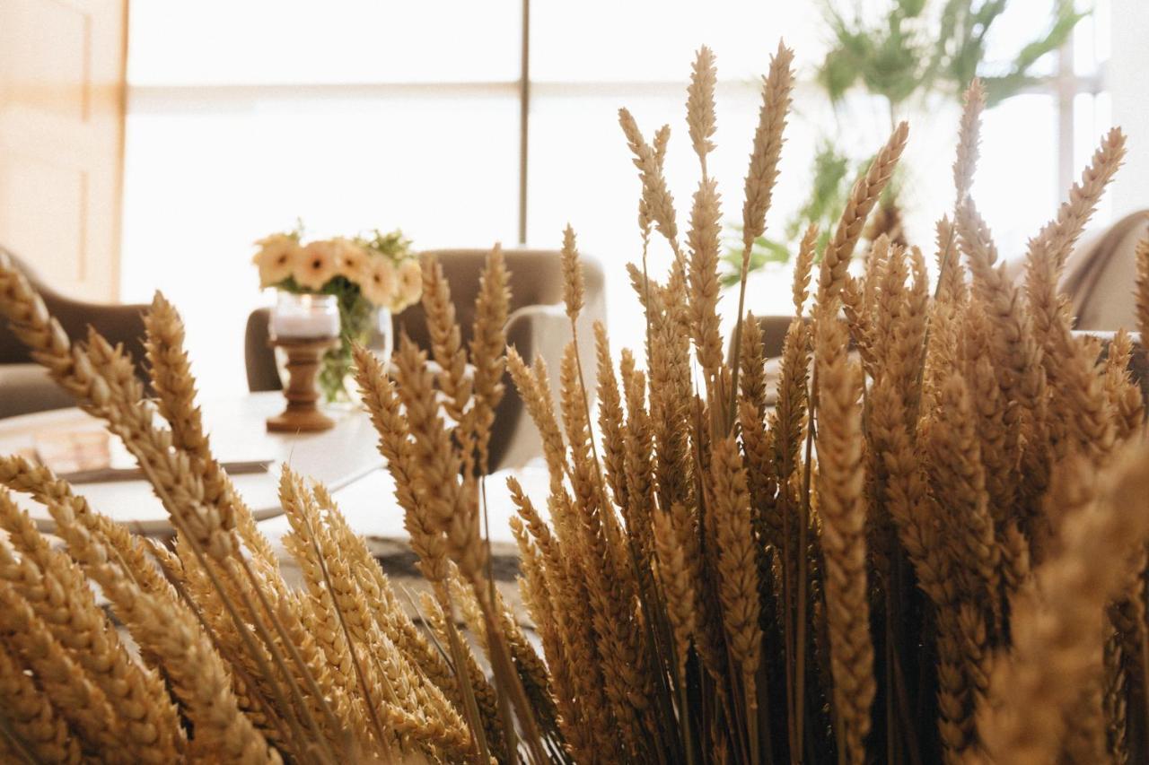 Country Spa Retreat Snagov Exteriér fotografie Wheat